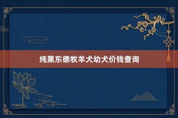 纯黑东德牧羊犬幼犬价钱查询