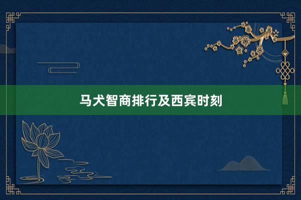 马犬智商排行及西宾时刻